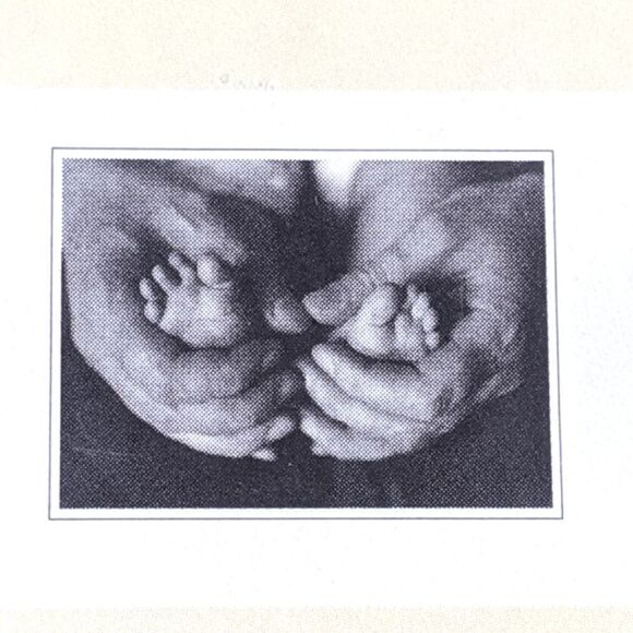 Rondal Partridge Photography Parent & Child Note Cards With Envelopes New In Box - Picture 6 of 10